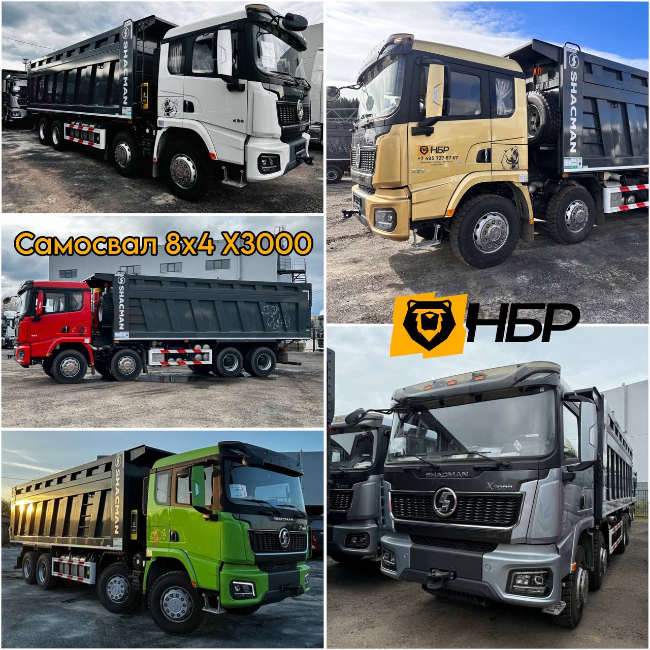 Самосвал SHACMAN 8x4 в разных цветах в наличии в Подольске и Ростове-на-Дону!